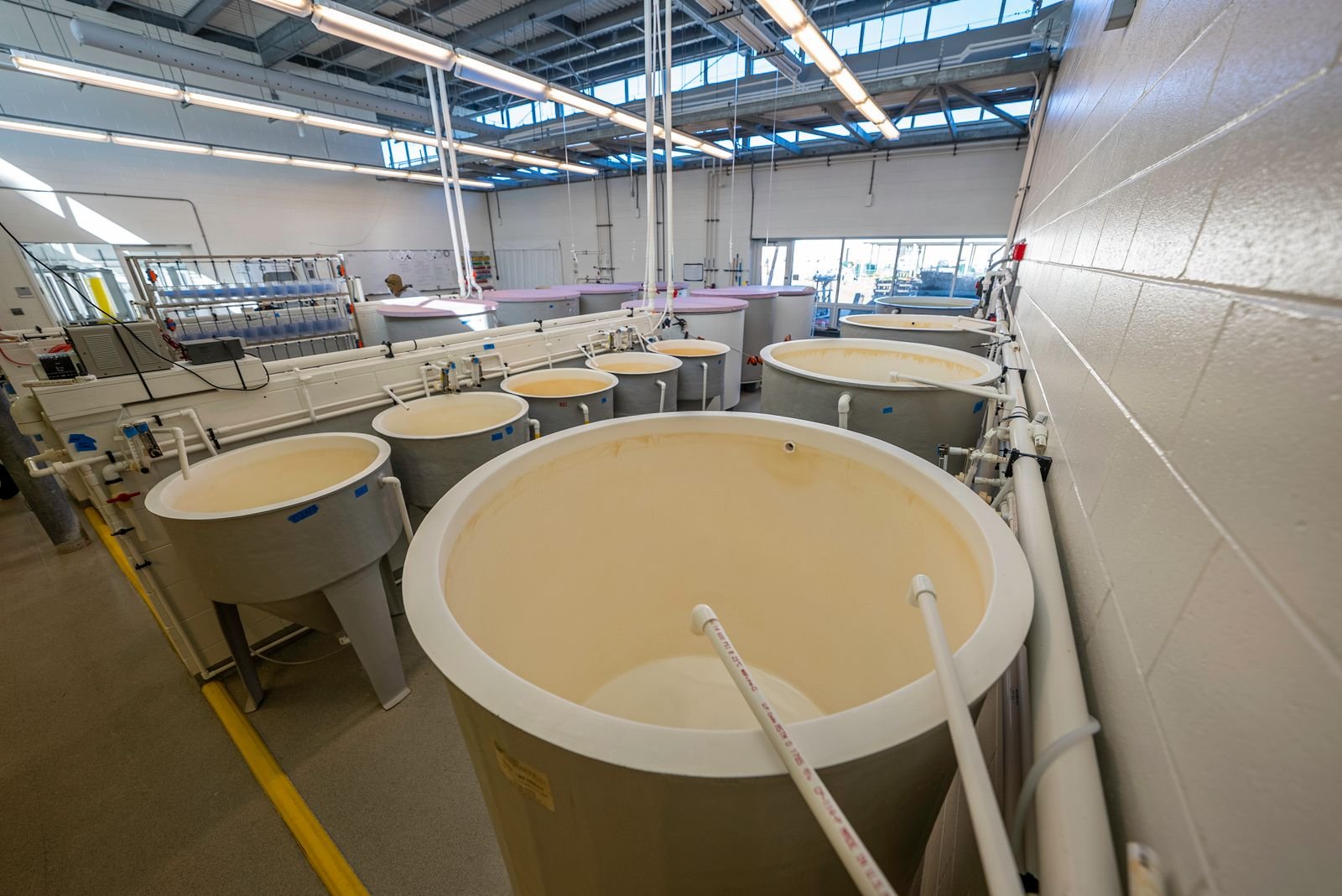 Industrial processing equipment